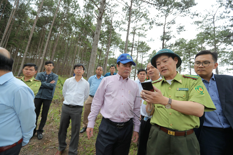 Phó Chủ tịch UBND tỉnh Phạm S cùng đoàn công tác đi kiểm tra tình hình quản lý, bảo vệ rừng tại huyện Lạc Dương