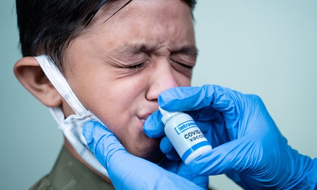 Australia phát triển một loại vaccine dạng nhỏ mũi có thể giúp cơ thể tăng cường khả năng bảo vệ trước virus gây bệnh COVID-19.