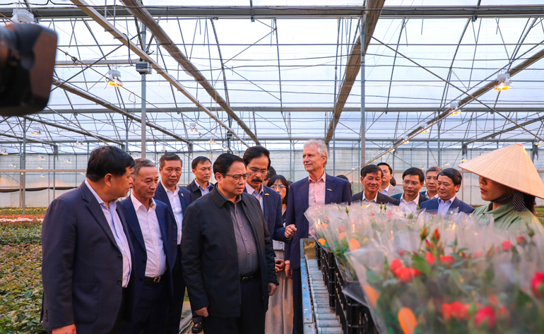 Thủ tướng Phạm Minh Chính cùng cán lãnh đạo các bộ, ngành, địa phương thăm Công ty TNHH Dalat Hasfarm chiều 20/11/2022