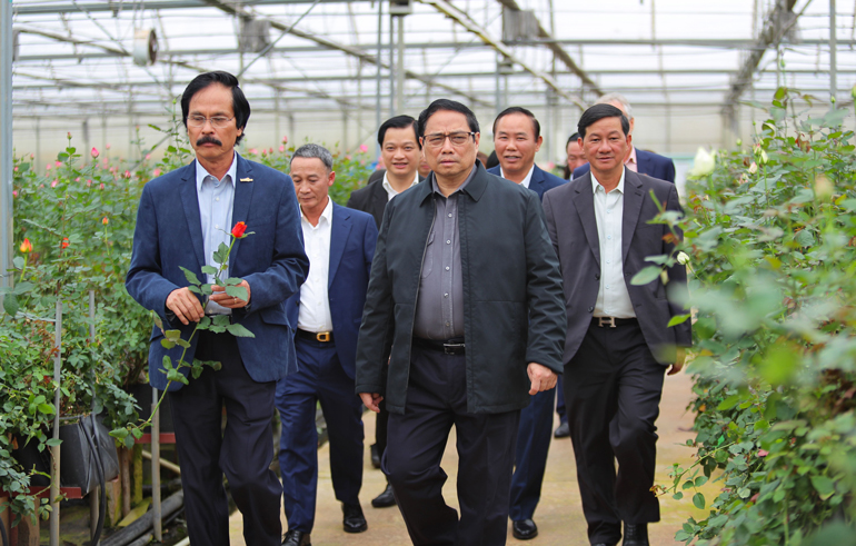 Báo cáo Thủ tướng Phạm Minh Chính, Công ty TNHH Dalat Hasfarm, một doanh nghiệp FDI trên địa bàn Lâm Đồng cho biết mỗi năm xuất khẩu hoa đi các nước, doanh thu 60 triệu USD