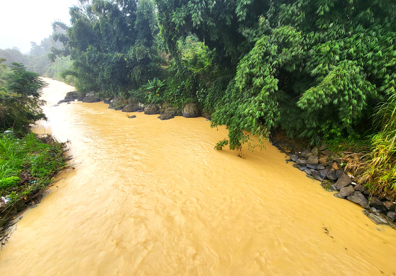 Bảo Lộc: Khẩn trương kiểm tra, xử lý nguồn nước suối Đại Lào, sông Đại Bình bị ô nhiễm