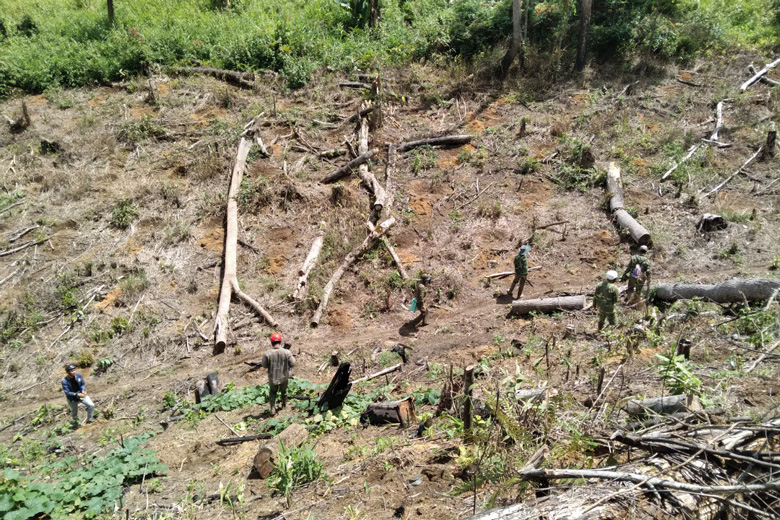 Ban Quản lý rừng Phi Liêng: Quyết liệt giải tỏa, thu hồi đất lâm nghiệp bị lấn chiếm