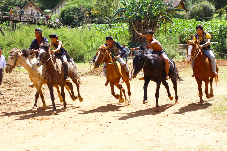 Hưởng ứng Festival Hoa Đà Lạt lần thứ IX năm 2022, huyện Lạc Dương tổ chức lễ đua ngựa không yên lần thứ I. Ảnh: T. Khiêm
