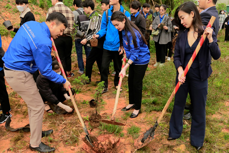 Sinh viên Trường Đại học Đà Lạt cùng đại biểu trồng 200 cây tùng thơm trong khuôn viên trường
