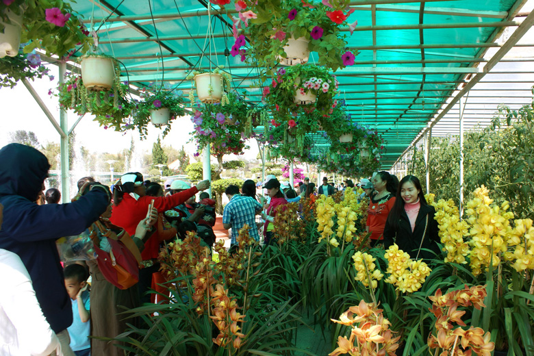 Du khách tham quan trưng bày hoa, cây cảnh tại Vườn hoa Đà Lạt