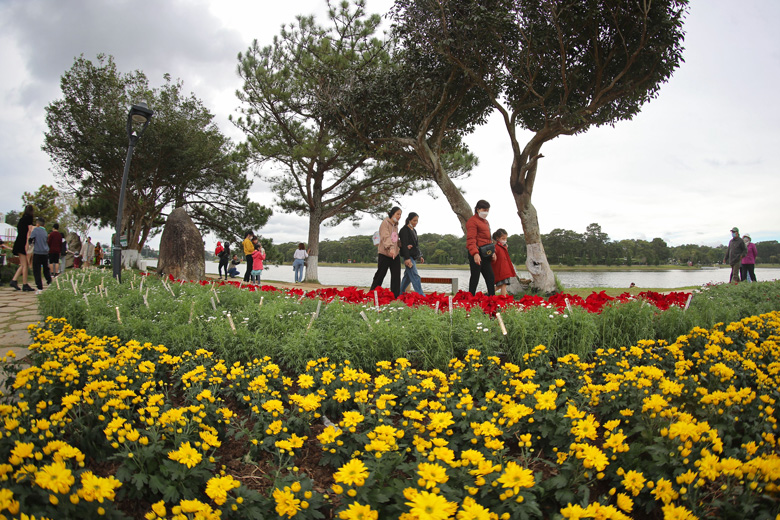  Đường Trần Quốc Toản, quanh hồ Xuân Hương cũng tràn ngập không gian hoa khoe sắc