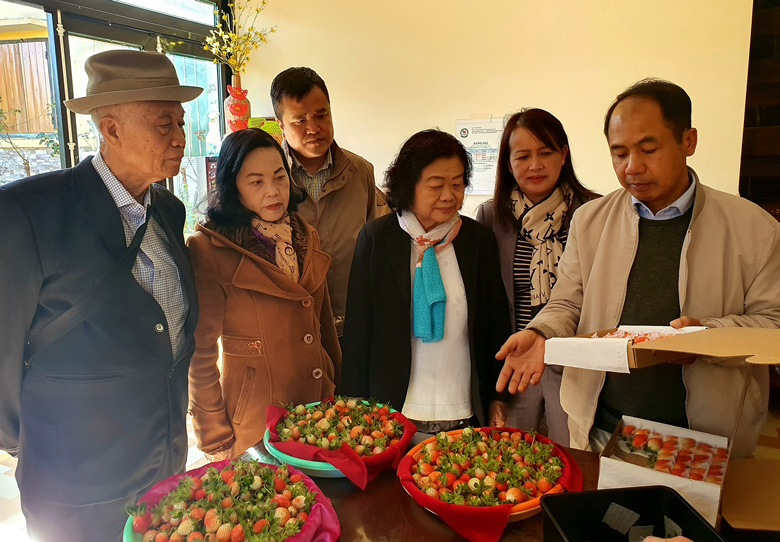 Nguyên Phó Chủ tịch nước Trương Mỹ Hoa thăm vườn dâu công nghệ cao Nam Anh Farm Đà Lạt