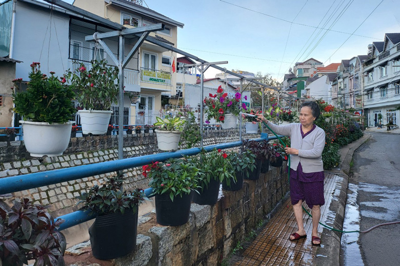 Trồng hoa và chăm sóc cho đẹp phía trước khuôn viên nhà mình đã trở thành phong trào của người dân trên đường Tô Ngọc Vân