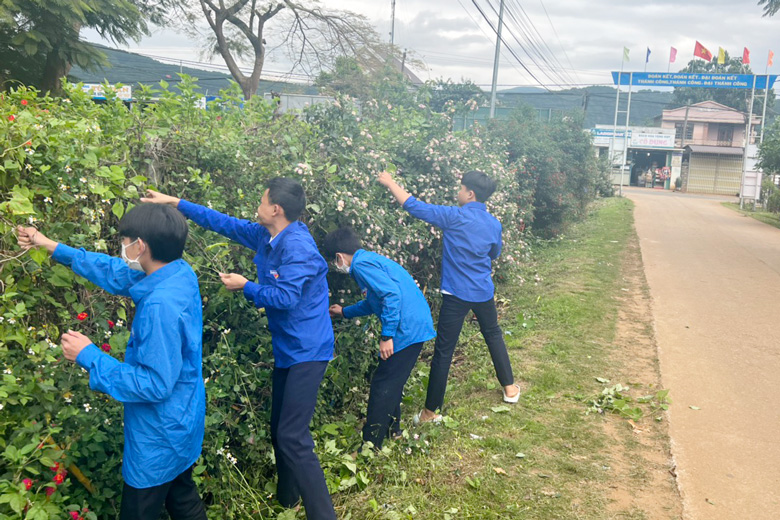 Tuổi trẻ Thôn 3 (xã Tà Nung, TP Đà Lạt) tham gia dọn cây ven đường