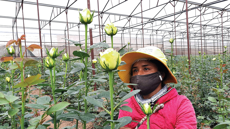 Người lao động đồng bào DTTS được trang bị kiến thức sản xuất nông nghiệp ứng dụng công nghệ cao