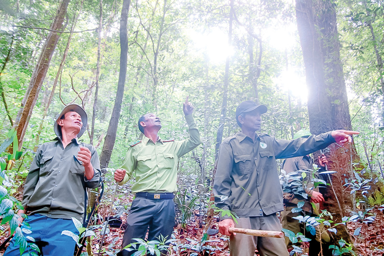 Cộng đồng thôn Kala Tơng Gu tuần tra để giữ rừng thiêng