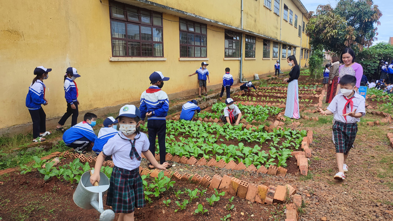 Vườn rau của Trường Tiểu học Tân Thượng 1 tạo môi trường thư giãn rất bổ ích cho các em sau những giờ học tập căng thẳng