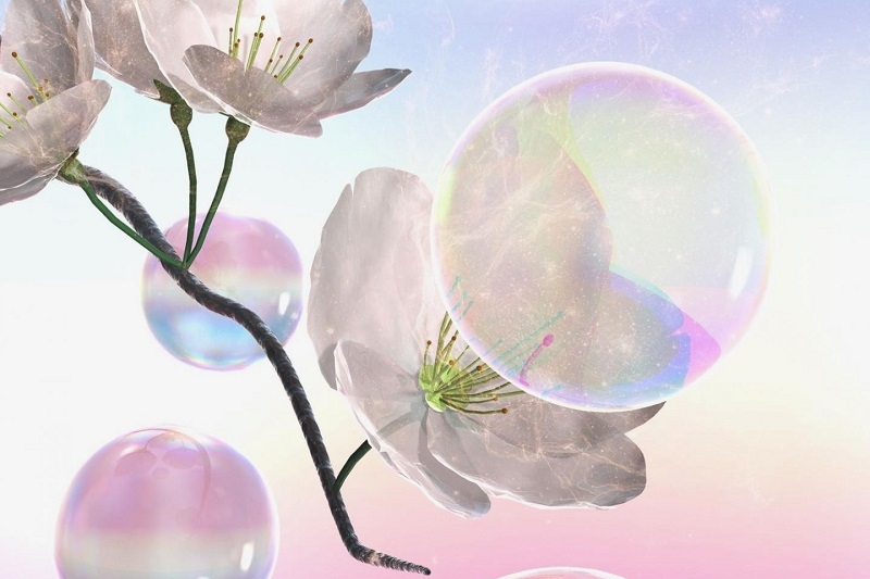 Dùng bong bóng xà phòng thụ phấn cho hoa