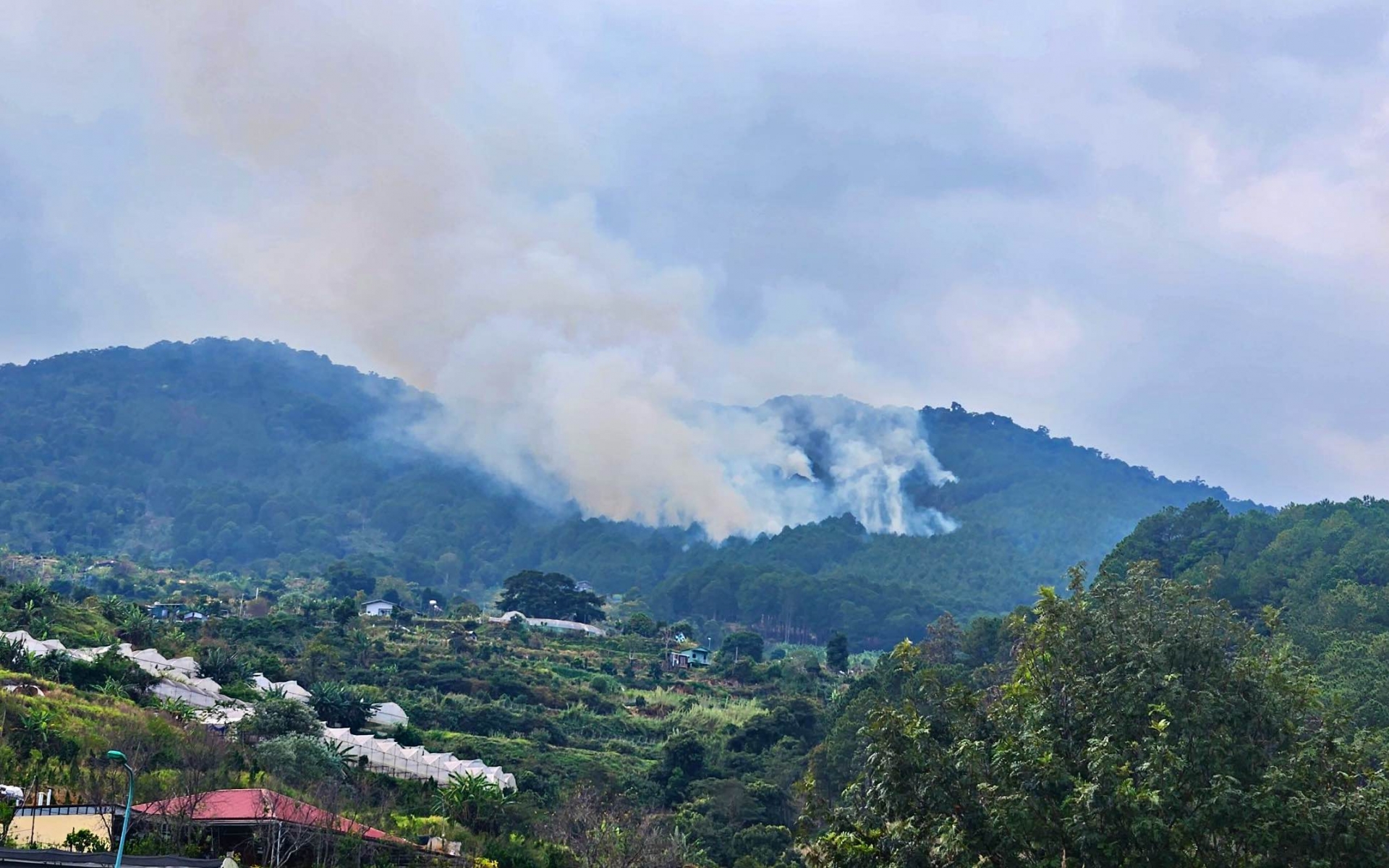 Các đơn vị chức năng đốt thực bì có kiểm soát tại khu vực núi Voi, xã Hiệp An (huyện Đức Trọng) để ngăn cháy lớn vào cao điểm mùa khô