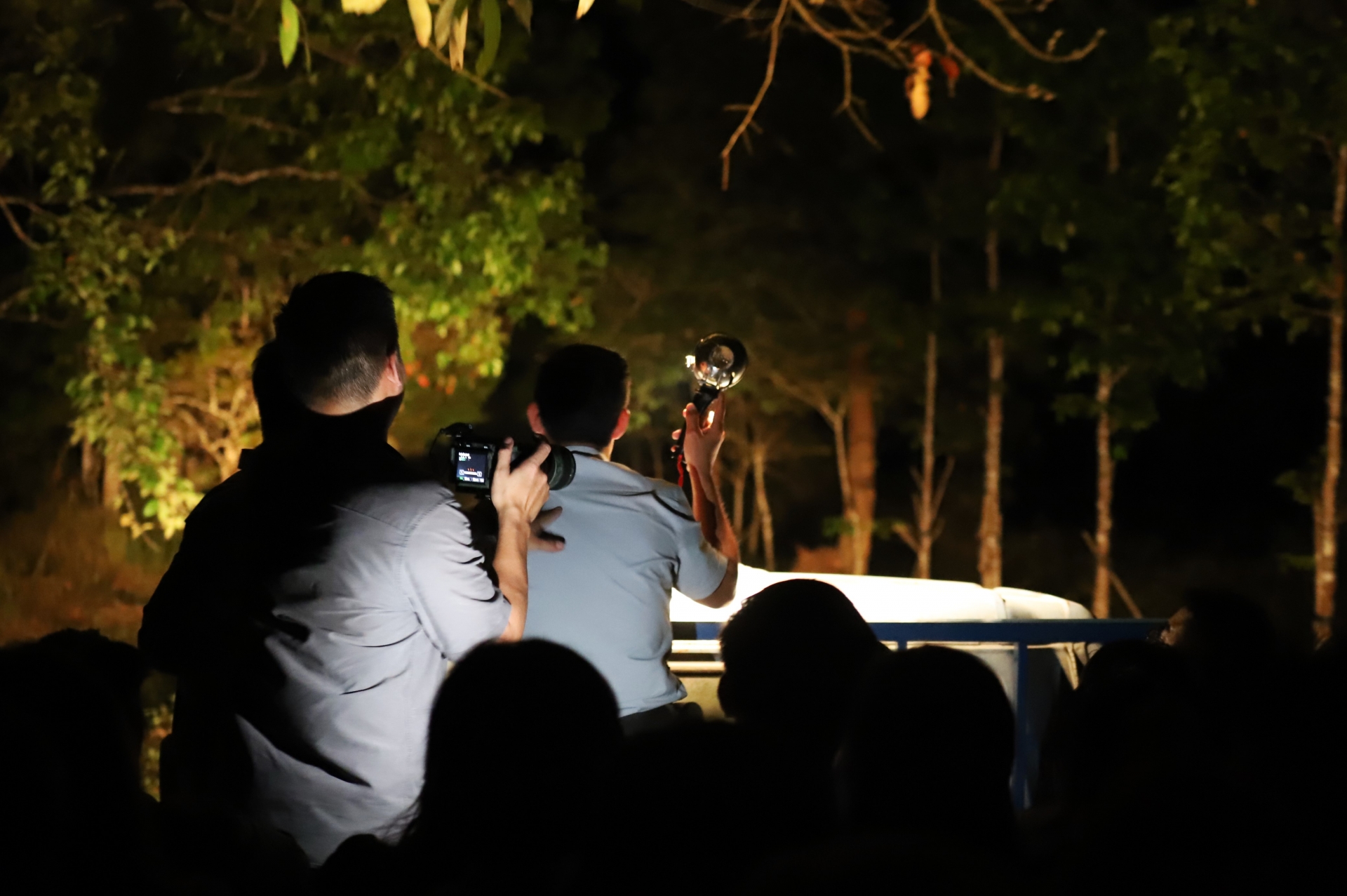 Phóng viên ghi nhận hình ảnh loài nai hoang dã khi đi ngắm thu đêm tại VQG Cât Tiên
