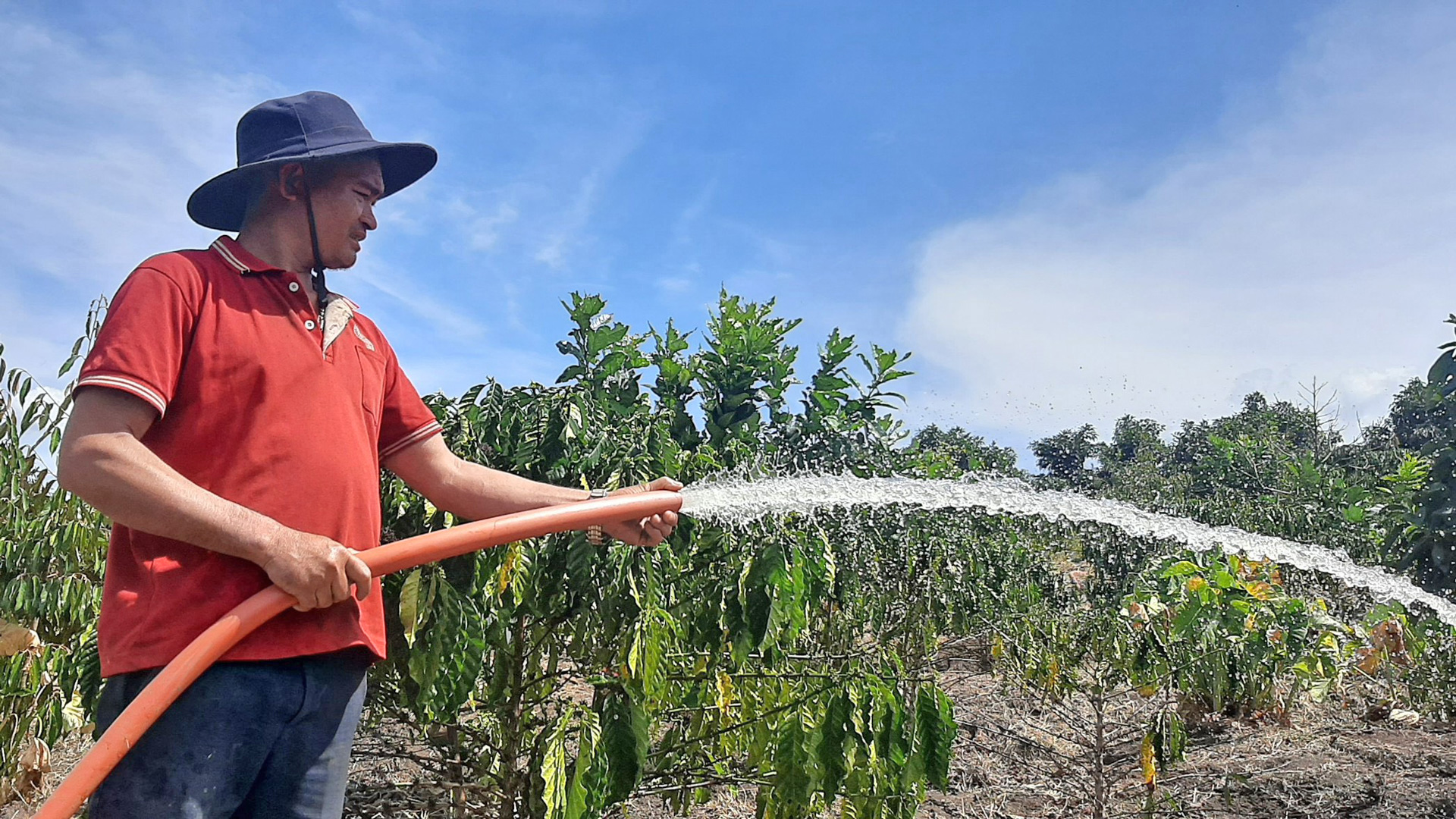 Huyện Di Linh chủ động các phương án để đảm bảo nước tưới cho cây trồng mùa khô