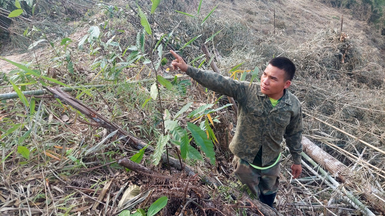 Đam Rông: Tạm giữ hình sự đối tượng phá rừng làm nương rẫy