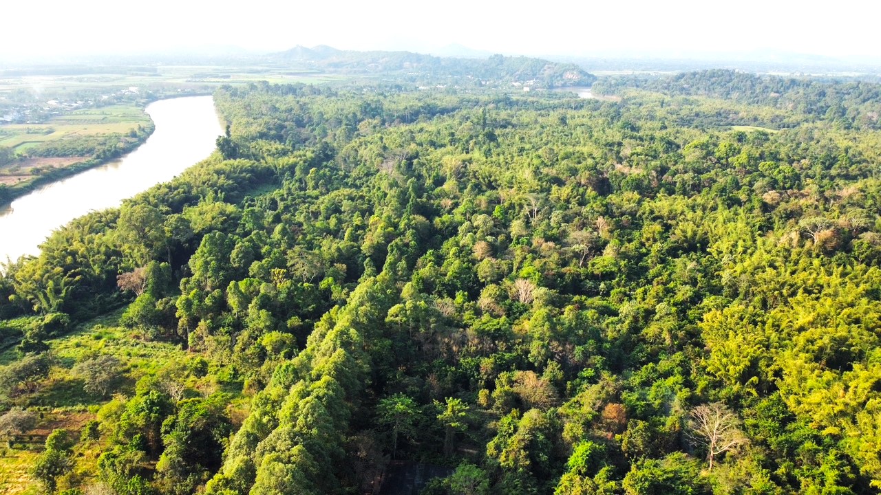 VQG Cát Tiên là 1 trong 8 khu dự trữ sinh quyển thế giới của Việt Nam được tổ chức UNESCO công nhận có tiềm năng cao về đa dạng sinh học