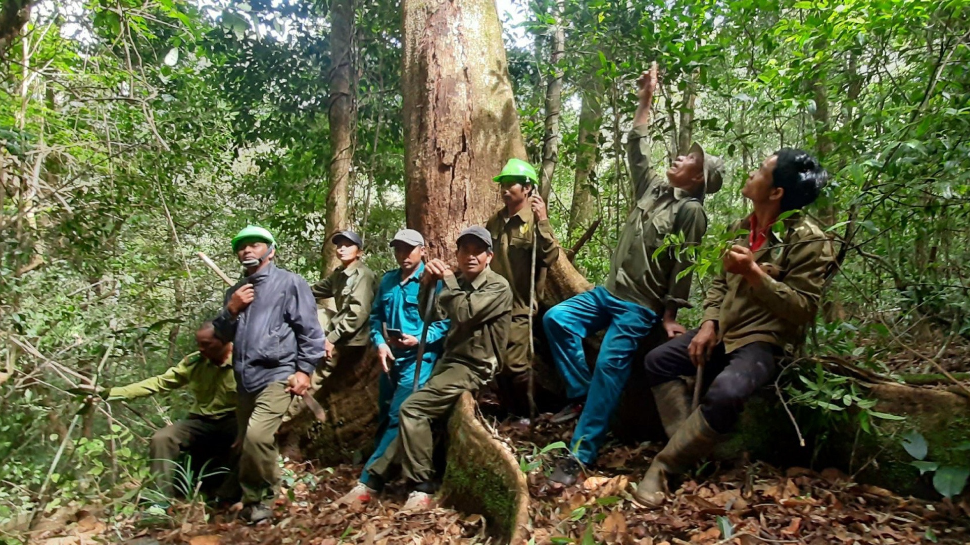 Các hộ dân nhận khoán QLBVR tham gia tuần tra, bảo vệ rừng
