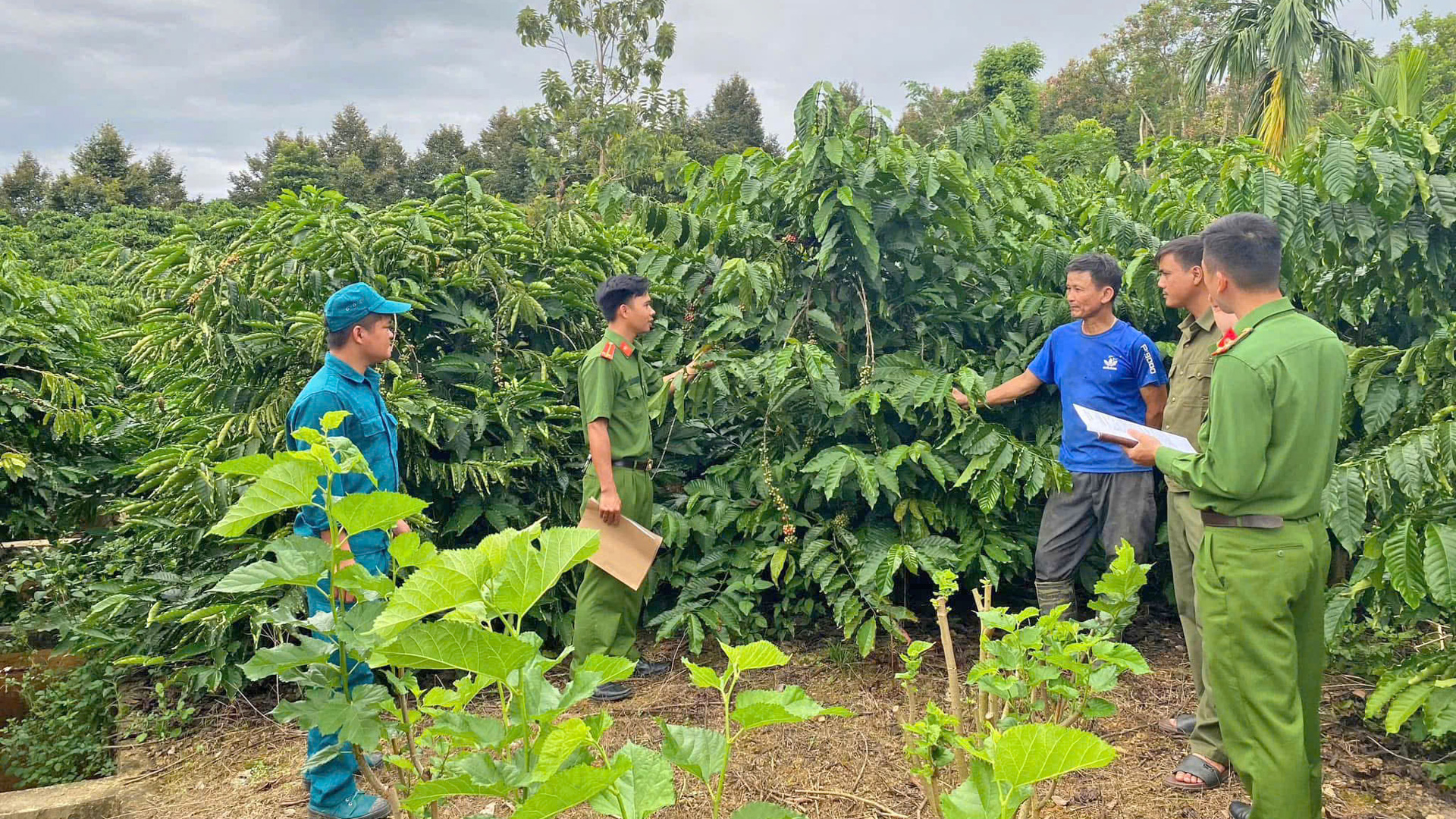 Công an xã Đạ Rsal tuyên truyền người dân chủ động phòng ngừa, ngăn chặn tình trạng trộm cắp cà phê