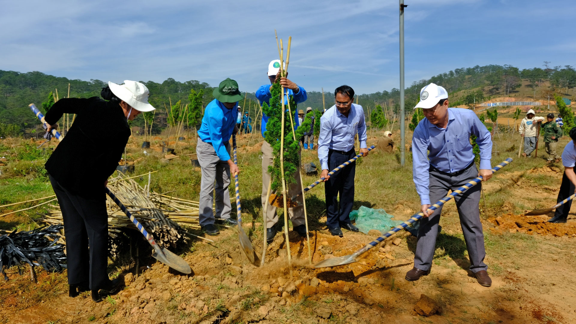 Ra quân thực hiện Tết trồng cây “Đời đời nhớ ơn Bác Hồ”