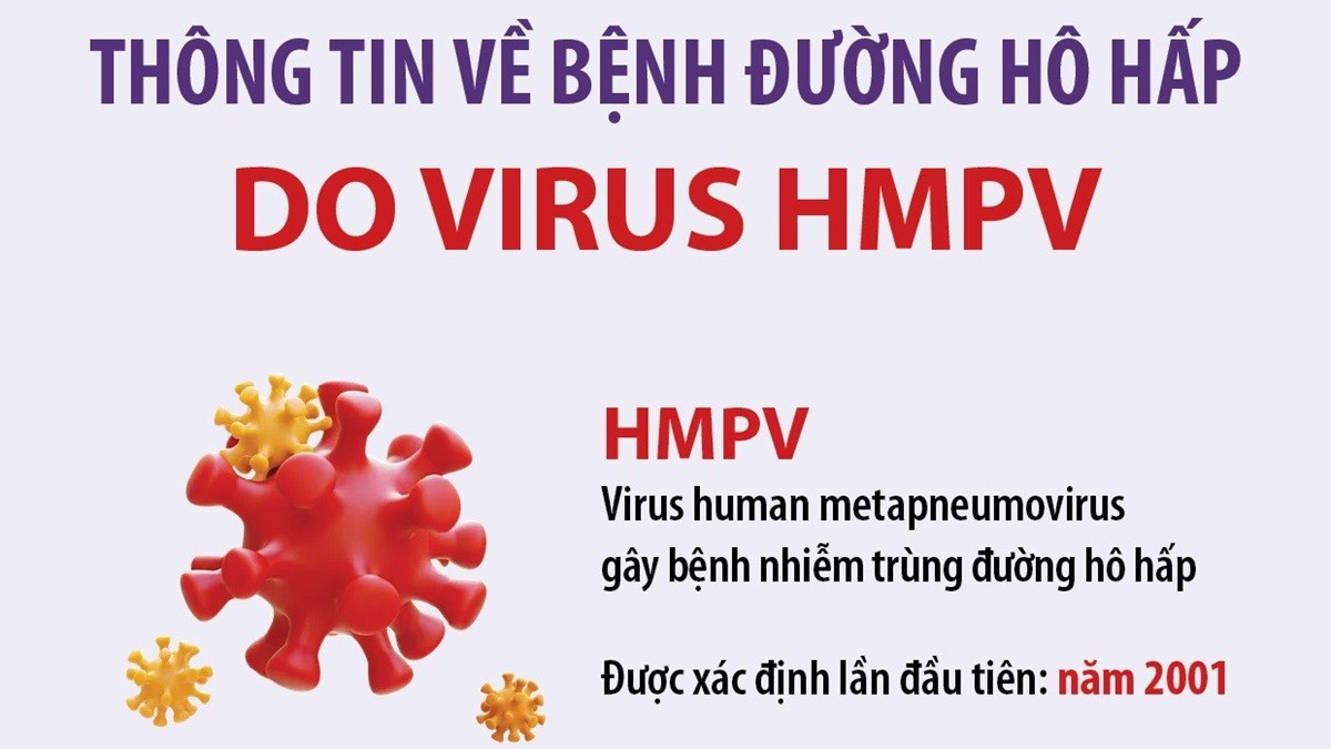 Thông tin mới nhất về bệnh đường hô hấp do virus HMPV