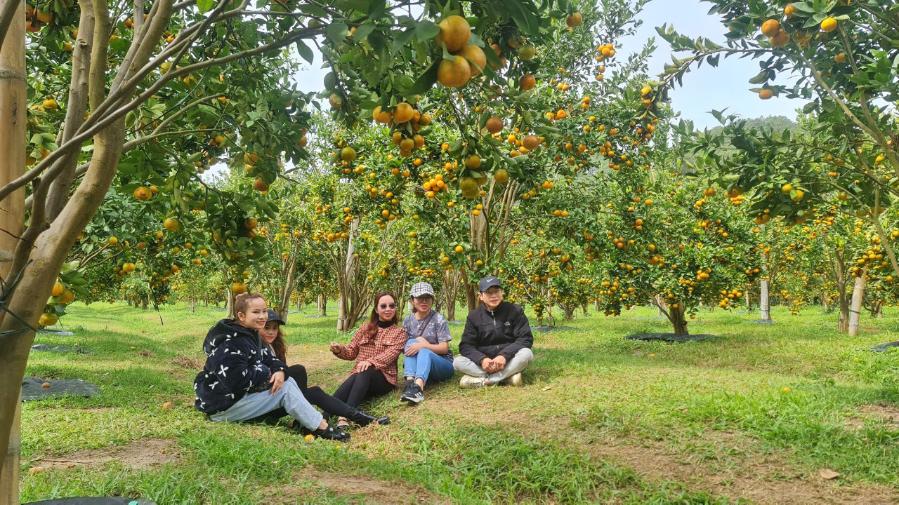 Phát triển du lịch nông thôn gắn với xây dựng nông thôn mới