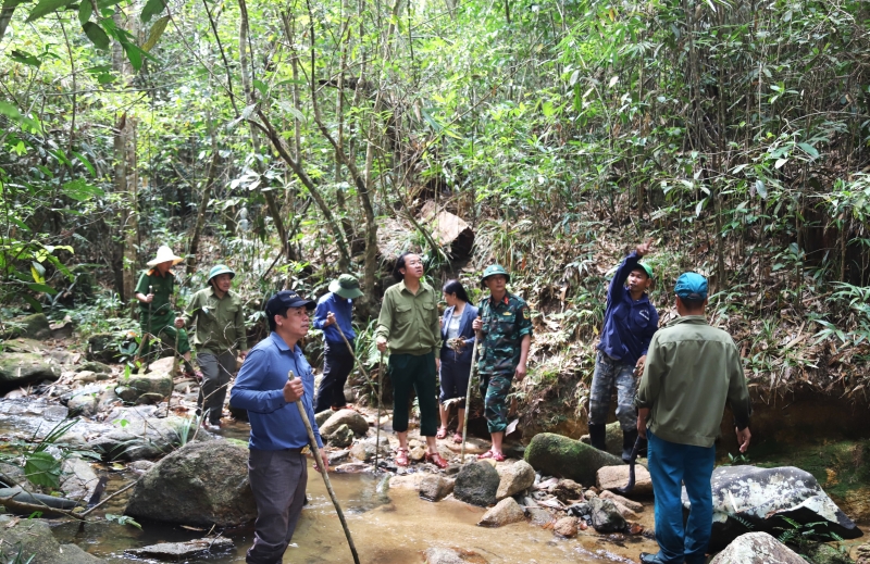 Lãnh đạo TP Bảo Lộc kiểm tra công tác quản lý, bảo vệ rừng đầu năm