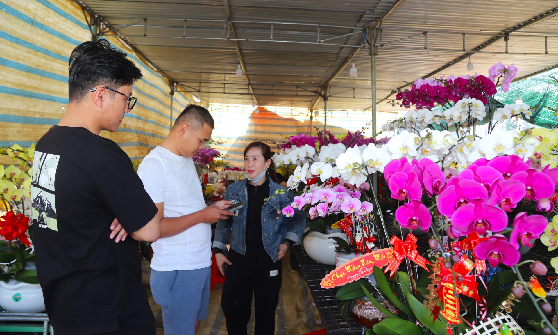 Trong các loài hoa đặc trưng của Đà Lạt thì lan hồ điệp được là mặt hàng đắt khách được người dân lựa chọn mua chưng tết với giá từ 180 đến 220 ngàn đồng/cành