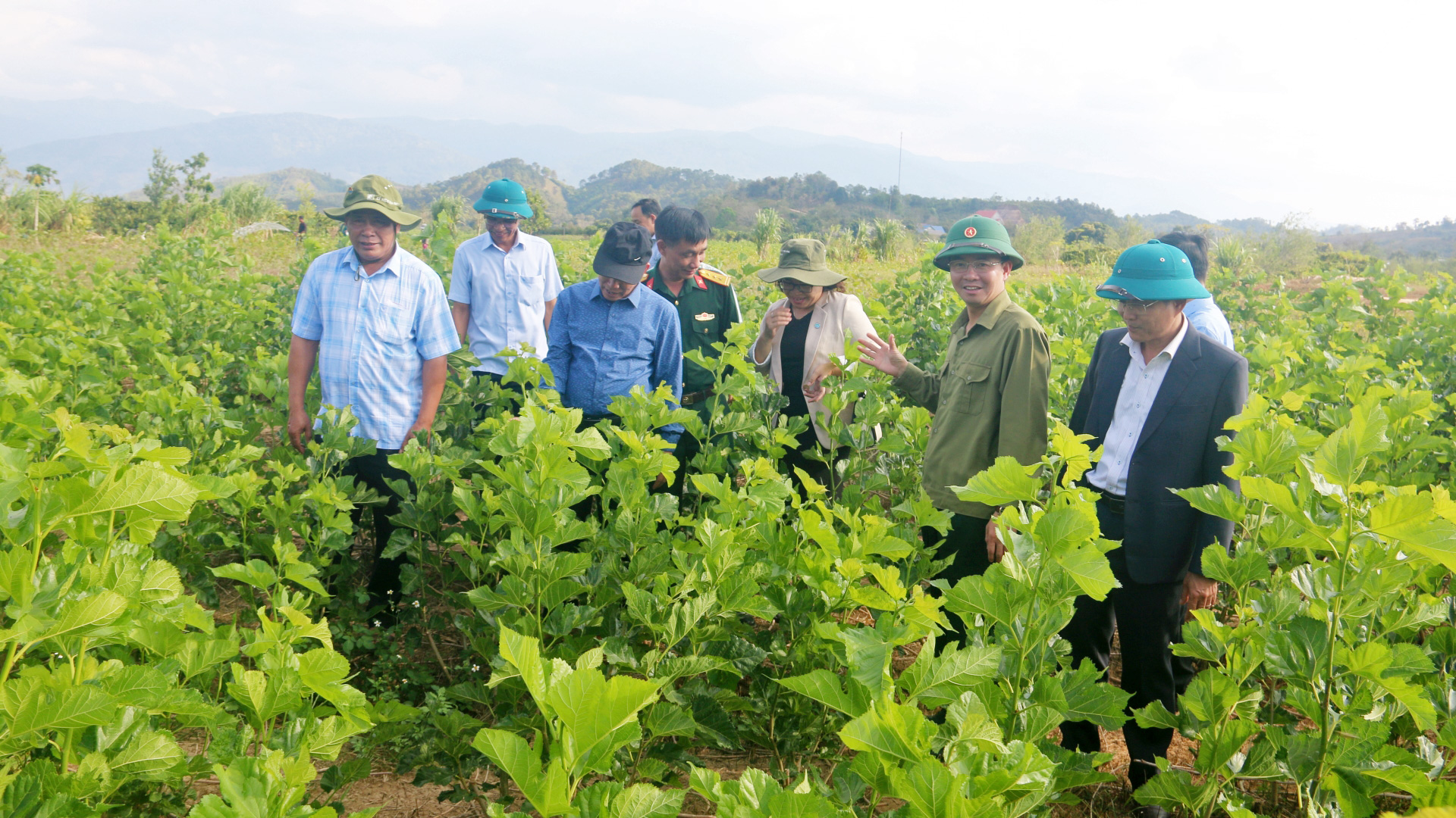 Đồng chí Nguyễn Văn Lộc – Bí thư Huyện ủy, Chủ tịch HĐND huyện thăm mô hình trồng dâu nuôi tằm tại xã Đạ M’rông