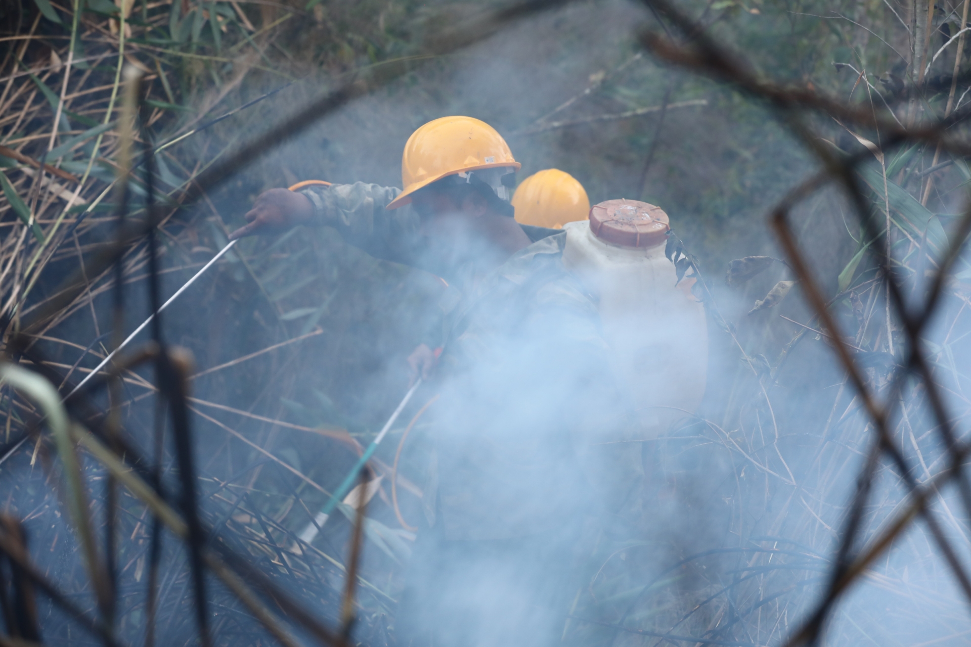 Lực lượng chữa cháy rừng tham gia chữa cháy rừng ở khu du lịch Hồ Tuyền Lâm.