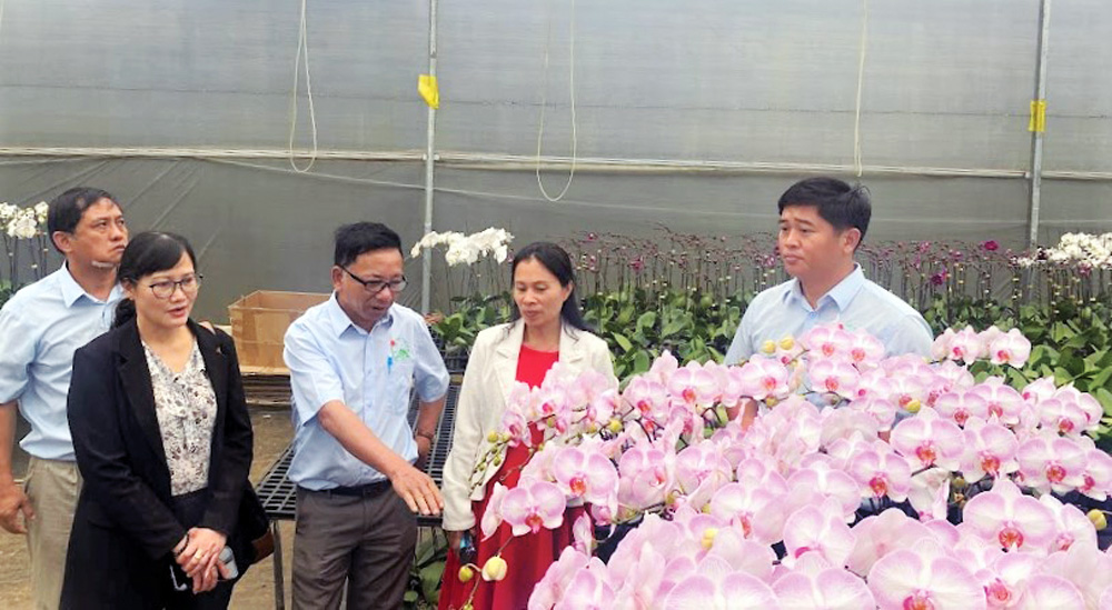 Chiến lược phát triển bền vững ngành hoa tỉnh Lâm Đồng