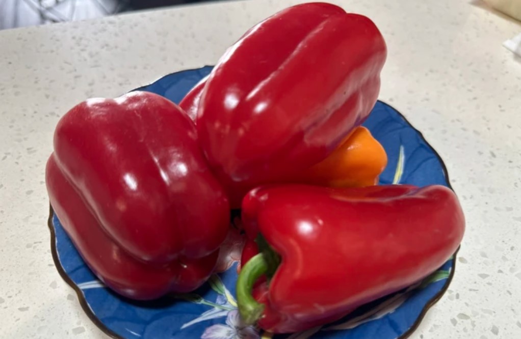 Ớt chuông đỏ chứa nhiều chất dinh dưỡng nhất trong các loại ớt chuông