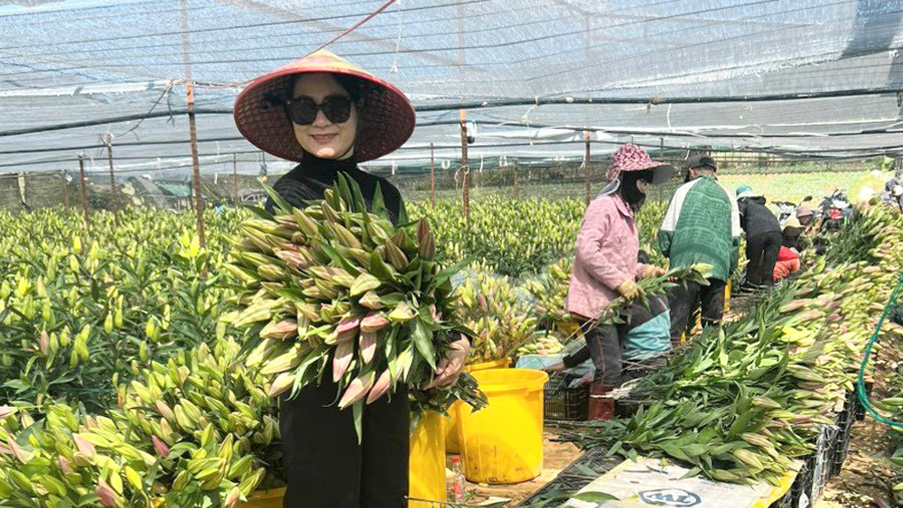 Cơ cấu nội bộ ngành Nông nghiệp Lâm Đồng trong năm 2024 với tỷ lệ trồng trọt 82- 83%