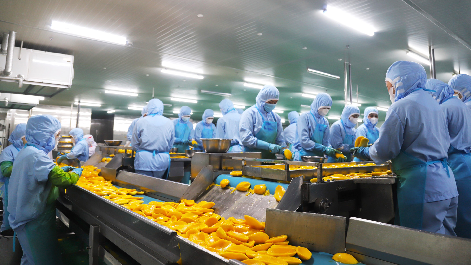 Hoạt động sản xuất rộn ràng, phấn khởi đầu năm 2024 tại Công ty B’Lao Food