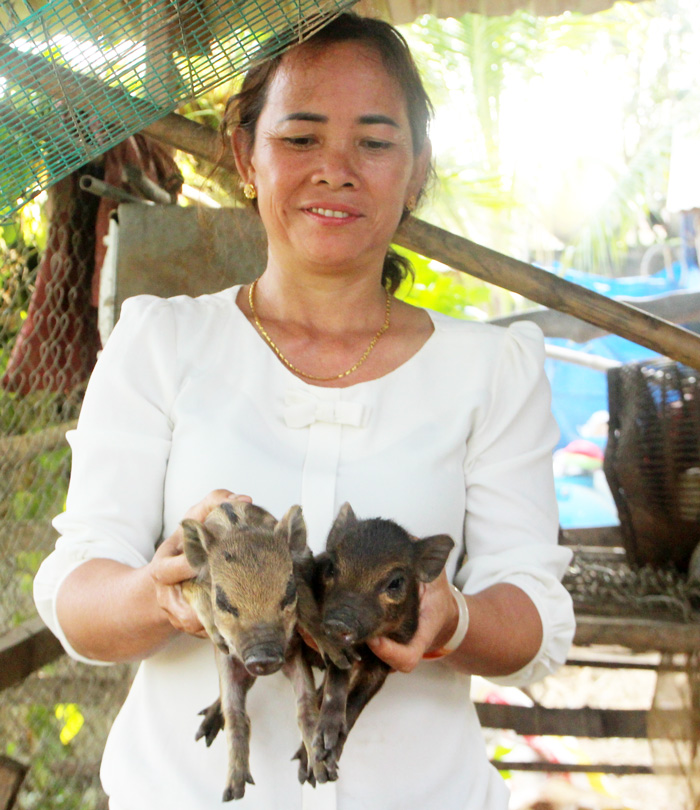 Đồng bào DTTS ở huyện Đạ Tẻh thành công 
với mô hình nuôi heo lai rừng lấy thịt và sinh sản.