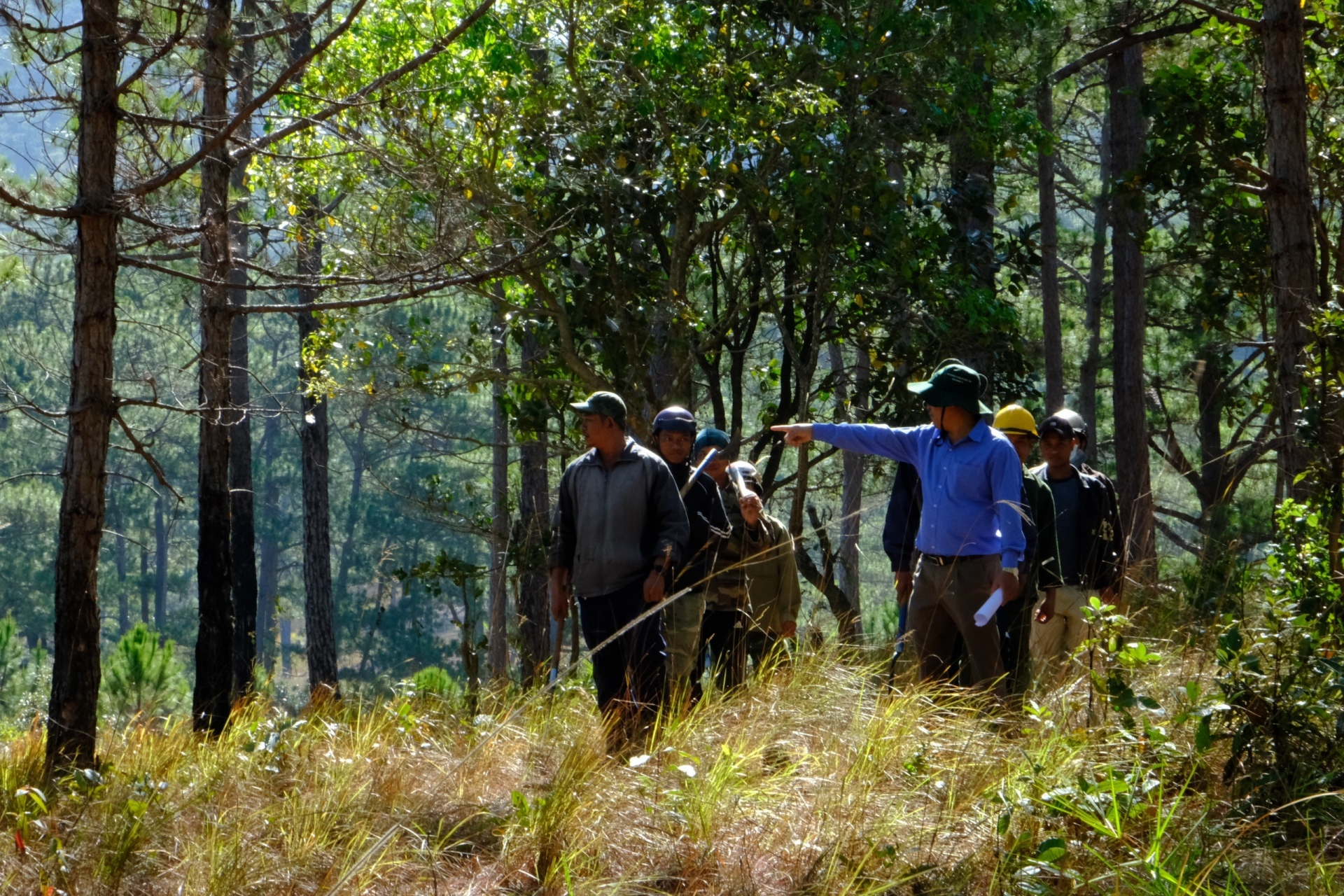 Các lực lượng chức năng thường xuyên hiện tuần tra bảo vệ rừng