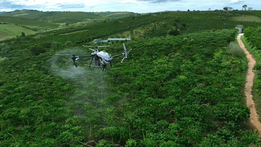 Ý tưởng khởi nghiệp bằng máy bay phun thuốc cho cây cà phê giúp anh Y Krơn thu về hàng trăm triệu đồng