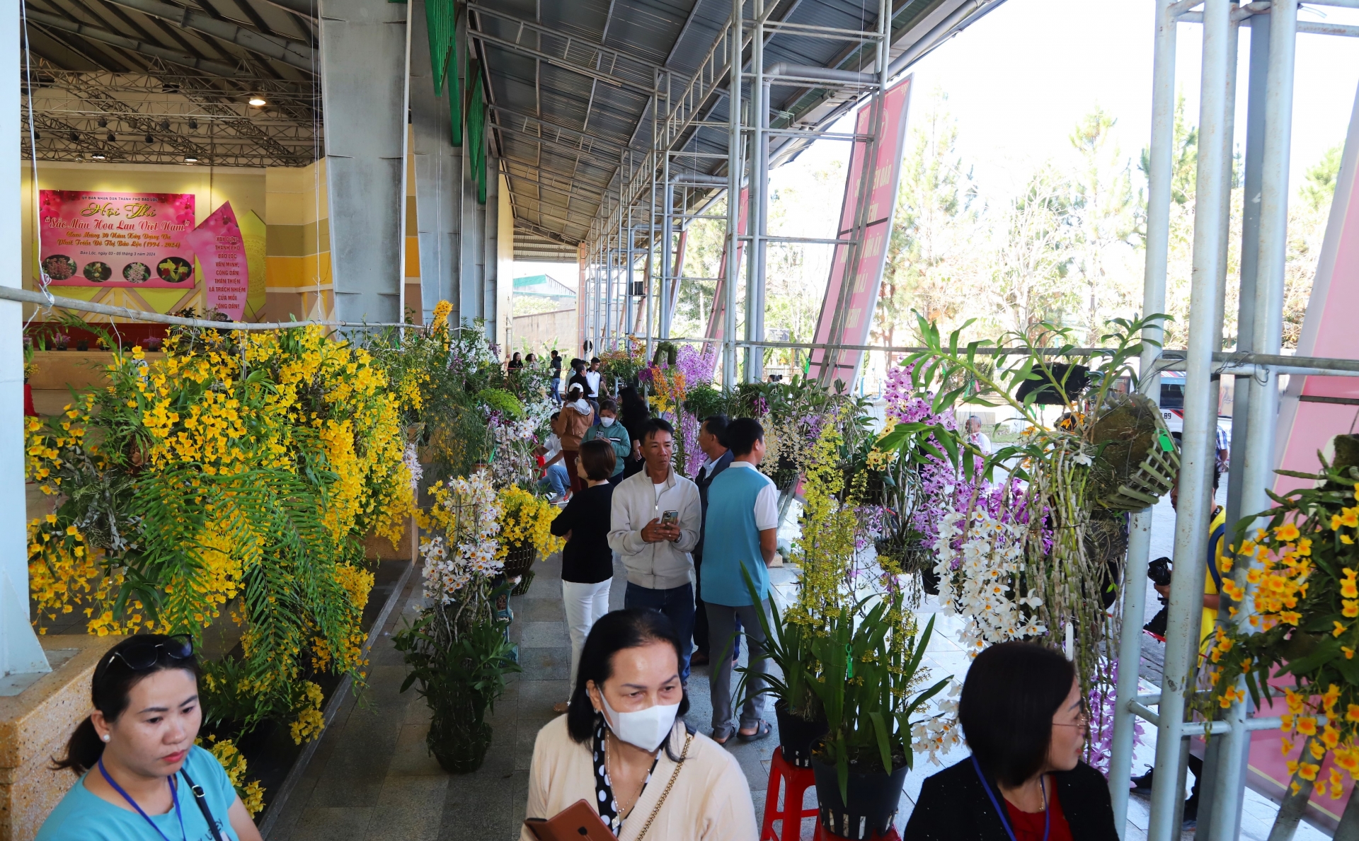 Hội thi hoa lan TP Bảo Lộc quy tụ hơn 1.000 tác phẩm hoa lan của các nghệ nhân, nhà vườn, câu lạc bộ hoa lan về tham gia triển lãm, dự thi