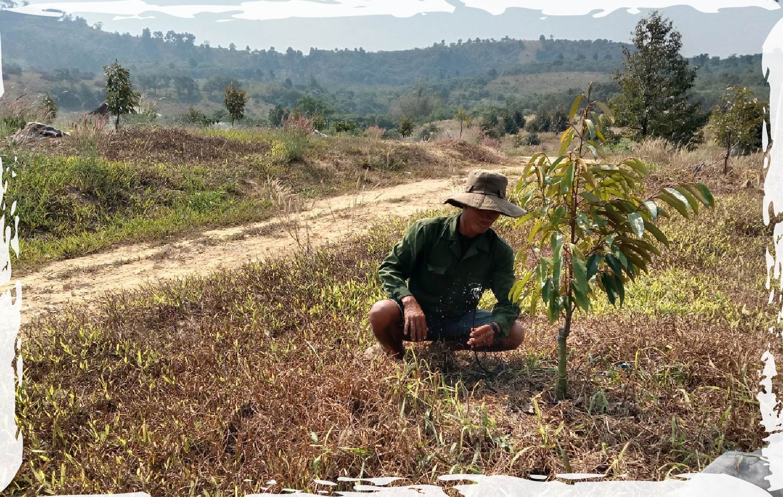 Hạn hán khiến hơn 95 ha cây sầu riêng, cà phê của người dân xã Đồng Nai Thượng (huyện Cát Tiên) thiếu nước