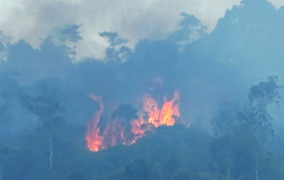 Hàng chục người nỗ lực khống chế đám cháy rừng ở Bảo Lộc