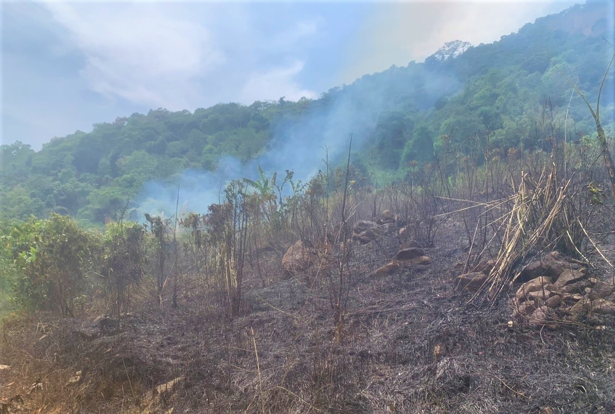 Rất may vụ cháy được khống chế, tập tắt kịp thời không để cháy lan qua diện tích rừng tự nhiên trên đèo Bảo Lộc