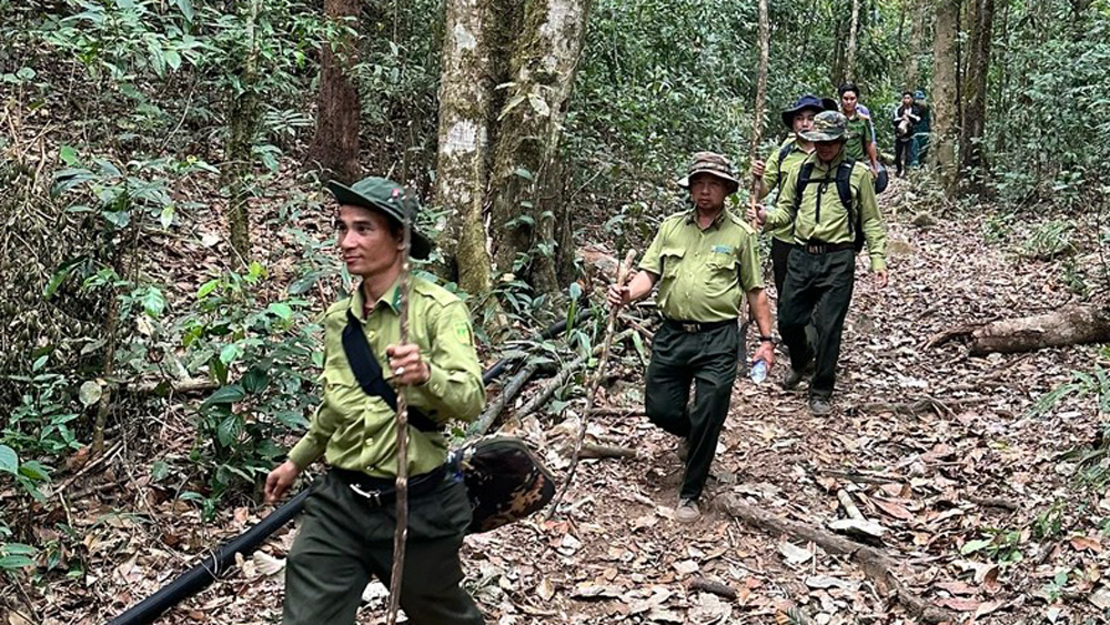 Đam Rông: Chủ động, quyết liệt trong phòng chống cháy rừng