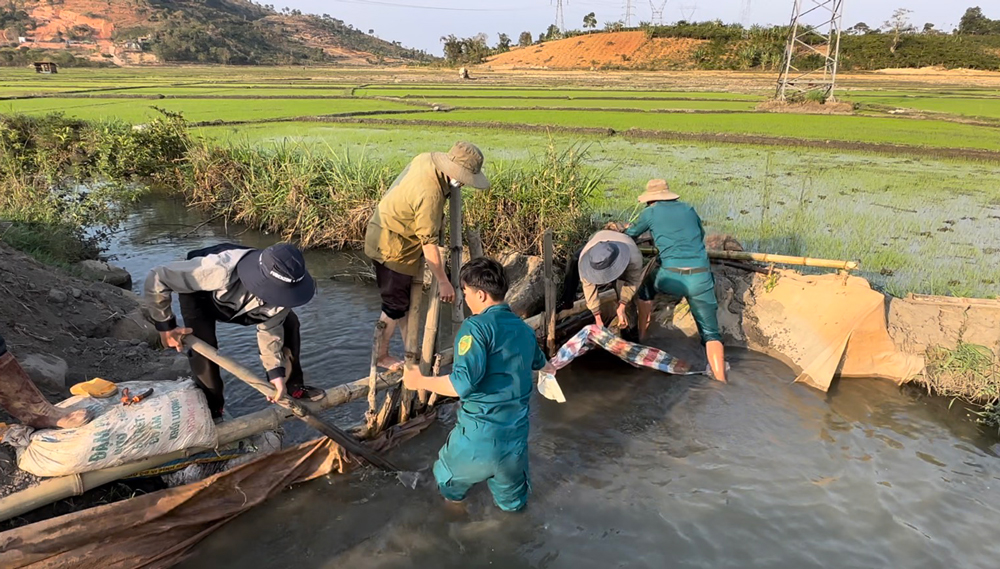 Di Linh ứng phó với tình trạng nắng hạn kéo dài