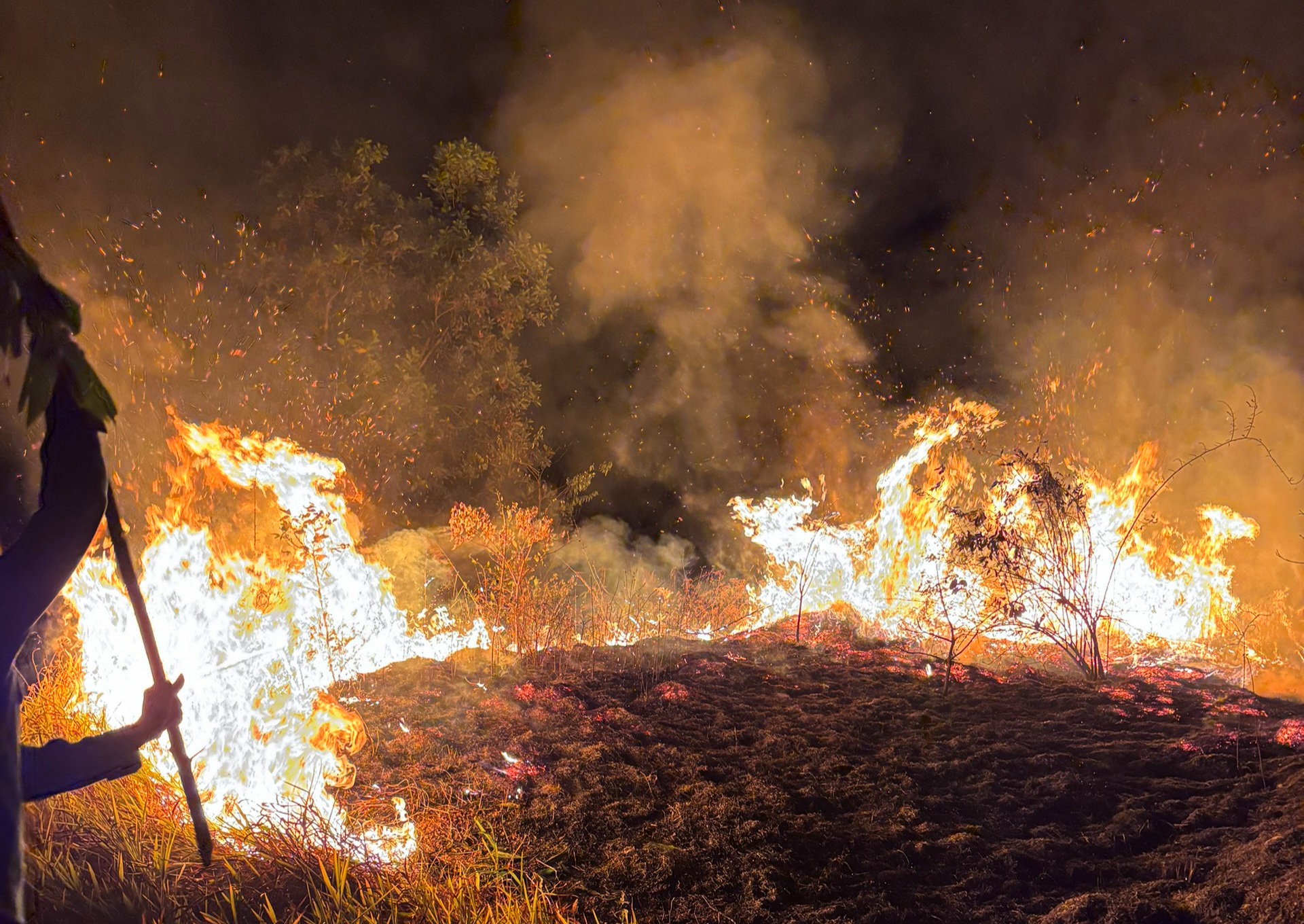Khu vực xảy ra cháy có nhiều cỏ lau khô và cây bụi khiến lửa cháy lan nhanh