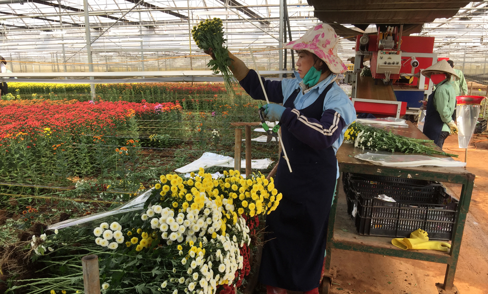 Khoản vay từ Dự án nhằm mục tiêu hỗ trợ cơ sở hạ tầng nông nghiệp của tỉnh Lâm Đồng với các tiểu dự án trong lĩnh vực giao thông, thủy lợi và trung tâm giao dịch hoa