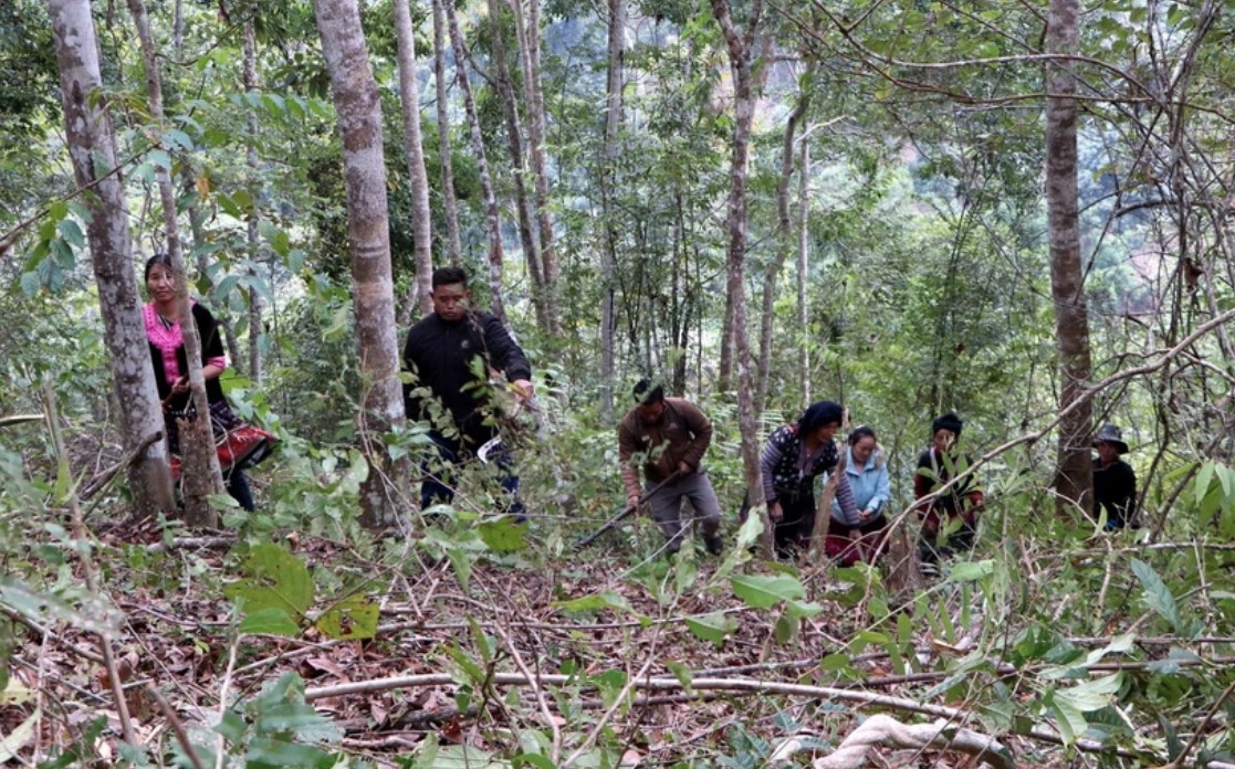 Người dân xã Pha Mu, huyện Than Uyên tham gia bảo vệ, phát triển rừng