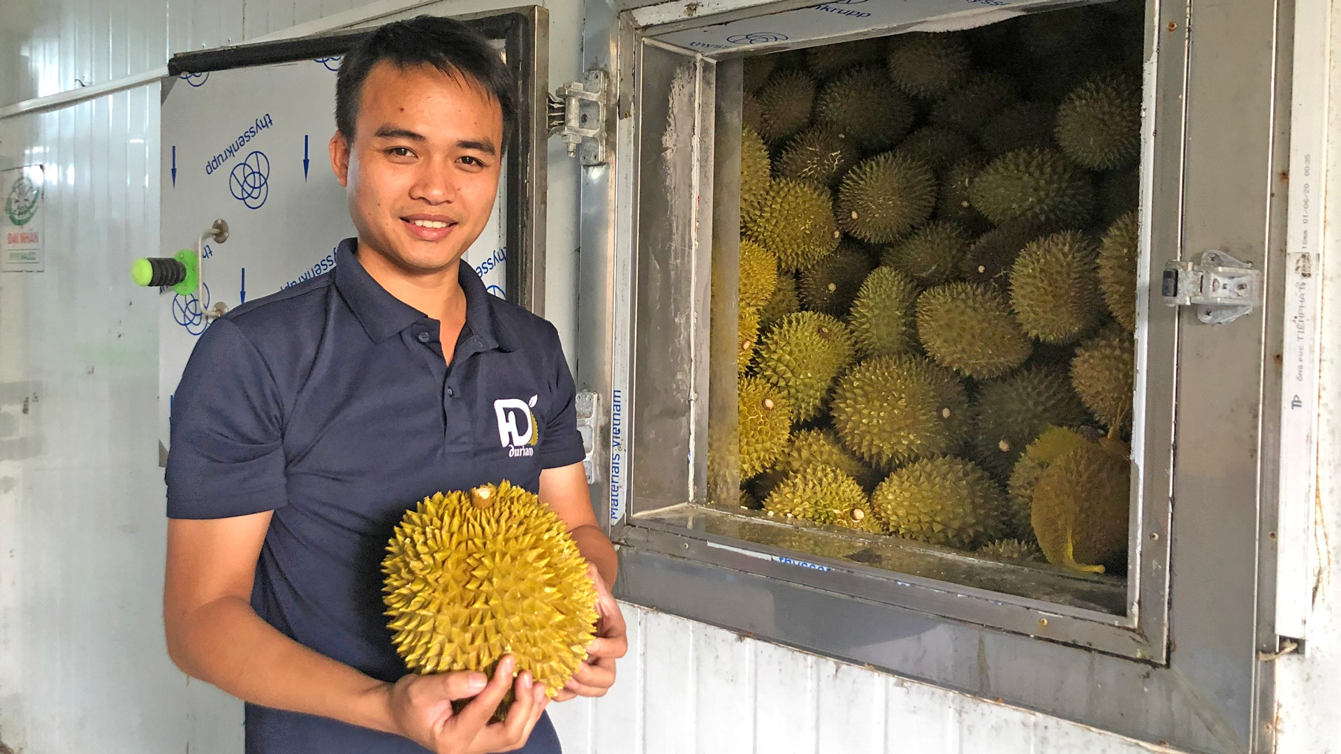 Cấp đông sầu riêng nguyên trái: Cơ hội mở rộng thị trường