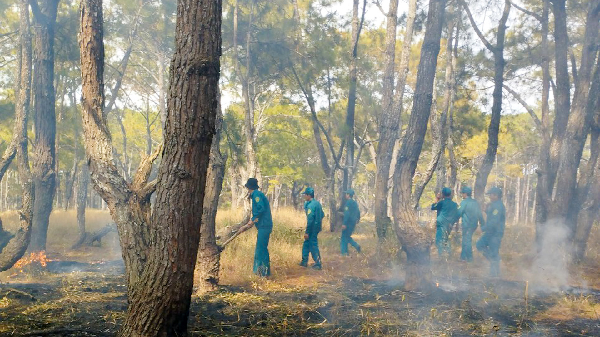 'Một số đám cháy nhỏ đã được cơ quan chức năng phát hiện, dập tắt kịp thời, 
không gây thiệt hại tài nguyên rừng'