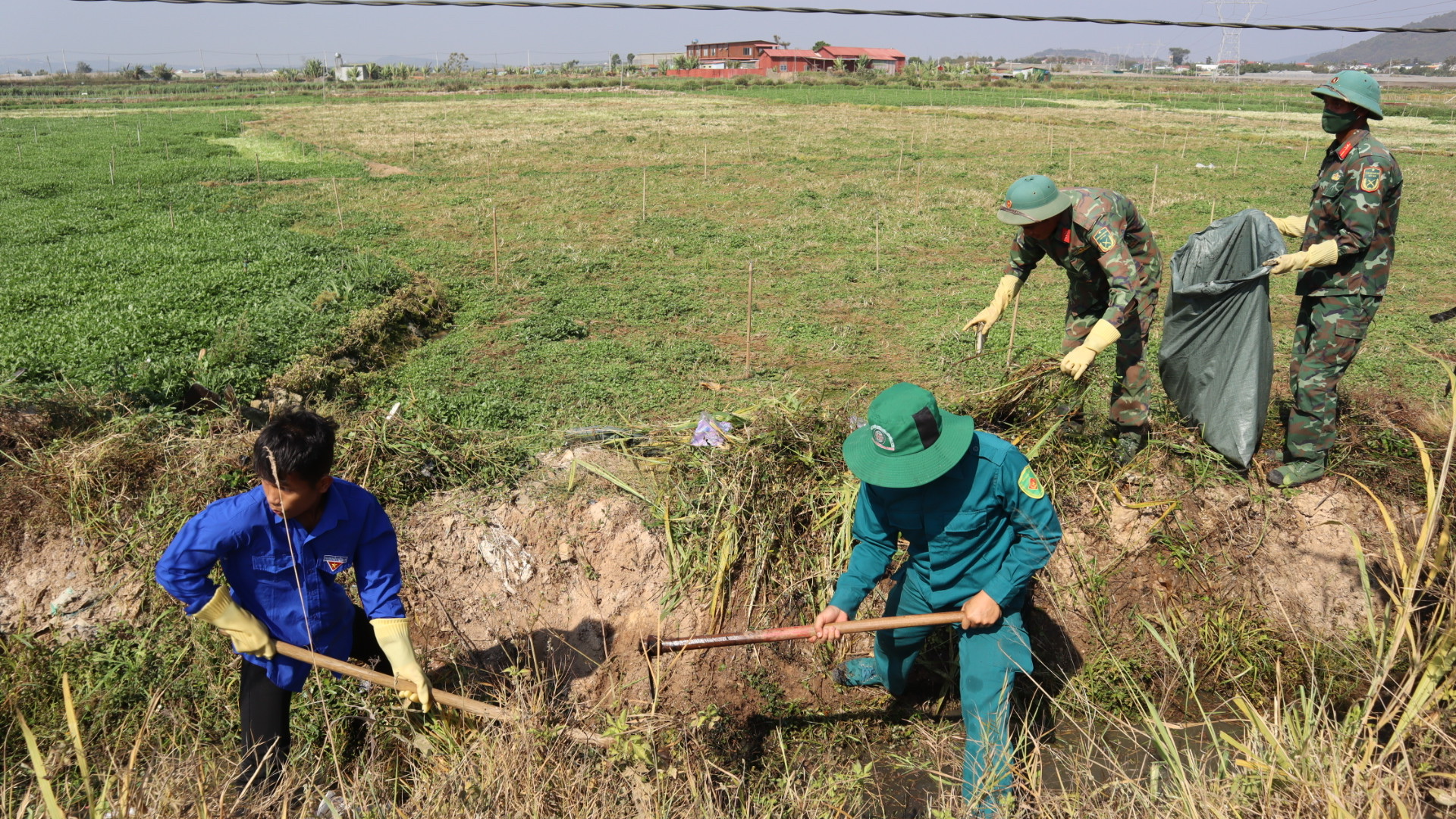 Nhiều hoạt động trong Ngày cao điểm tình nguyện xây dựng đô thị văn minh